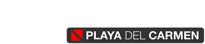 Dive Mike logo